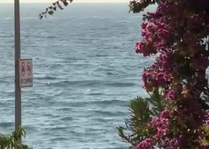 Appartamento M Seaside